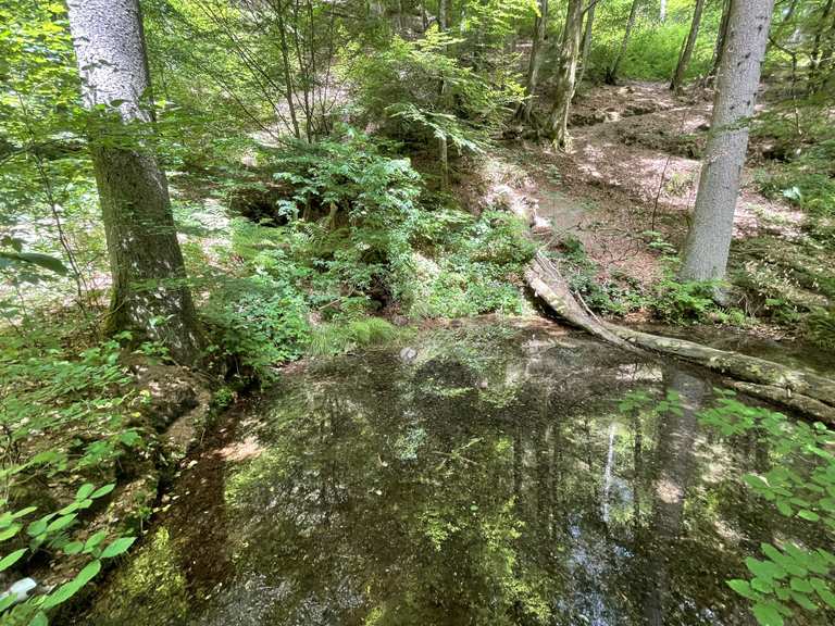 Teufelstisch und Teufelsküche - ab Hinterweidenthal | Wanderung | Komoot