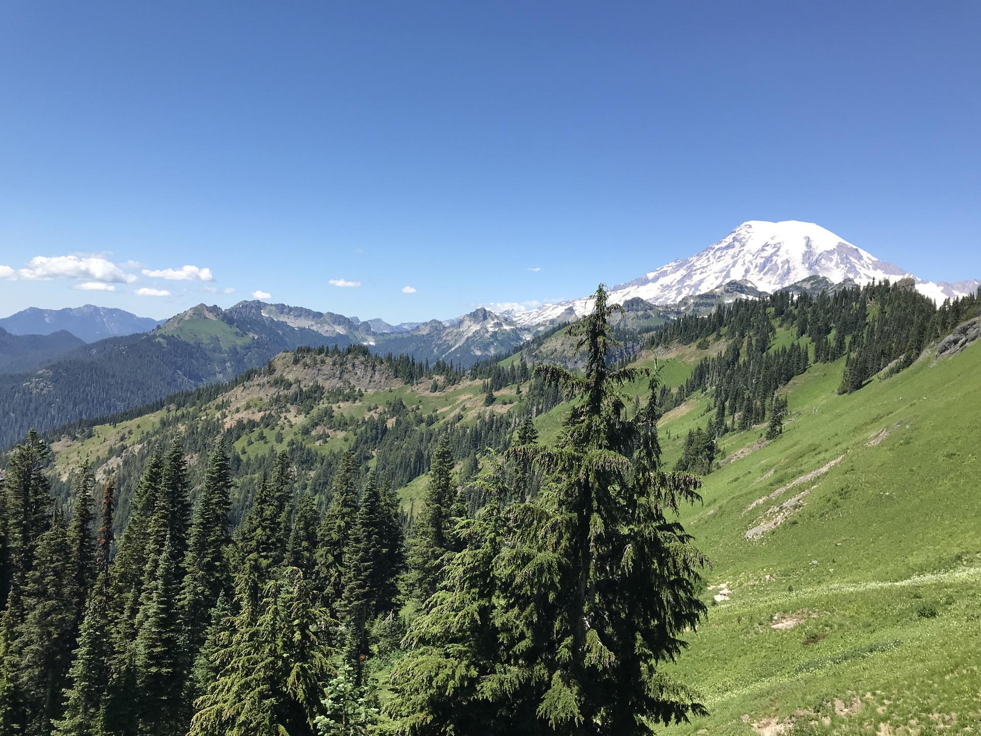 Snow-capped mountain overlooks green forested slopes under a clear blue sky.