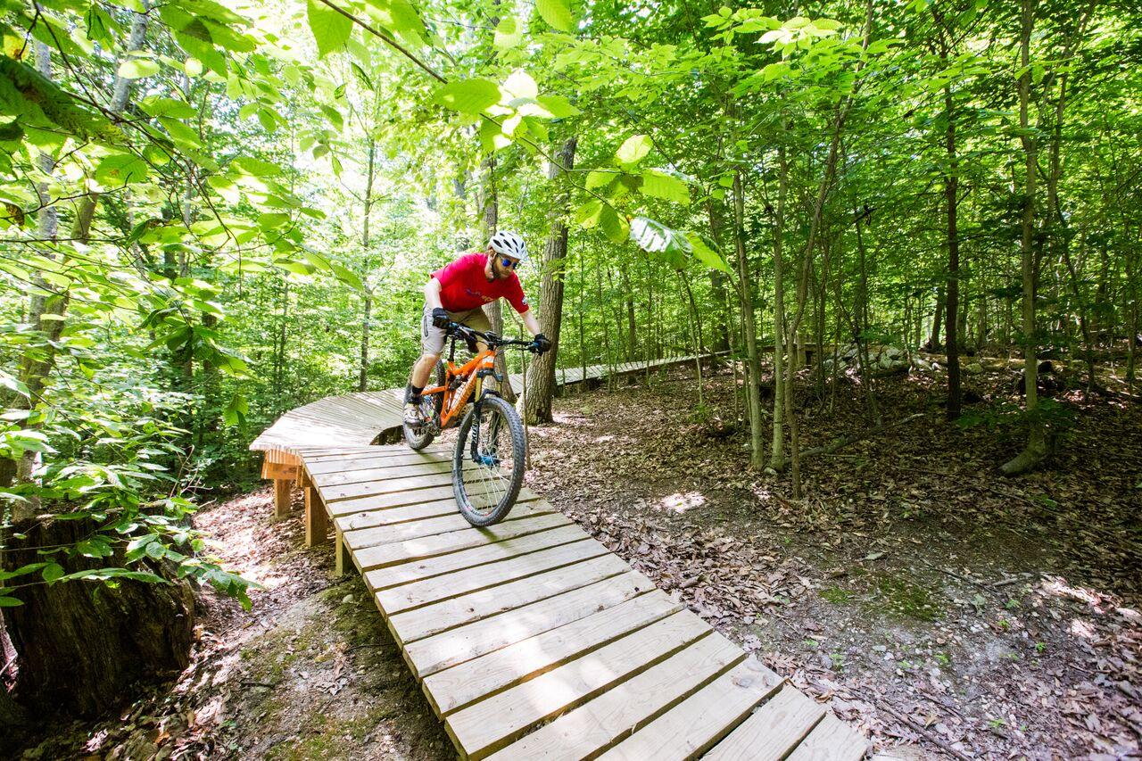 Mountain biker rides a wooden boardwalk through a sunlit green forest.