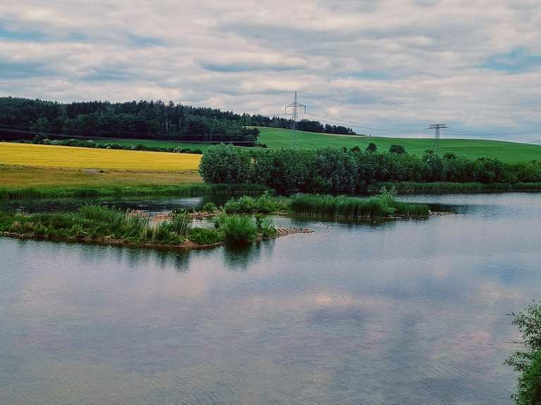 NSG Frießnitzer See Struthniederung // Frießnitz Rennradfahren und