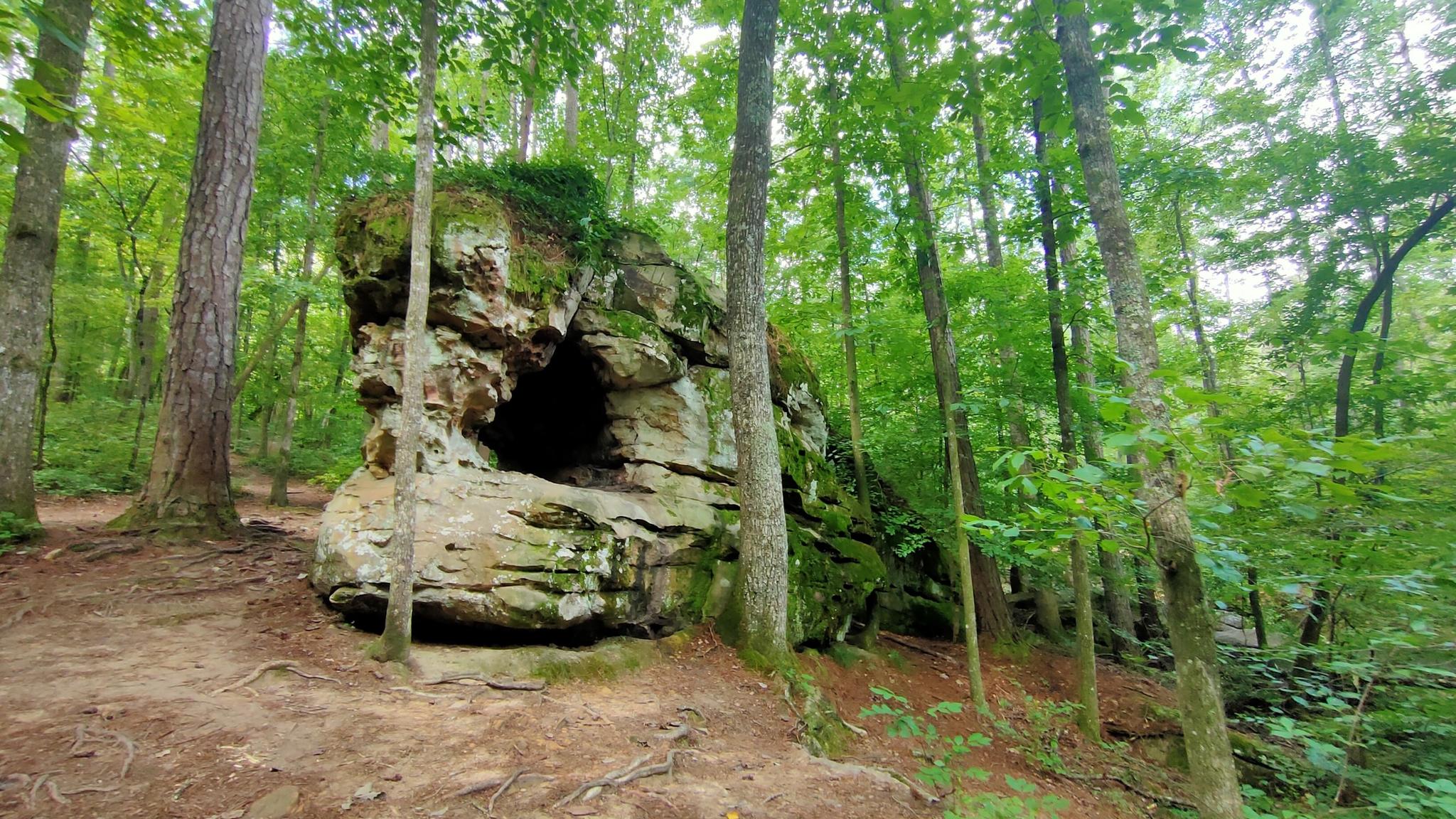 A large moss-covered rock formation with a cave in a green forest.