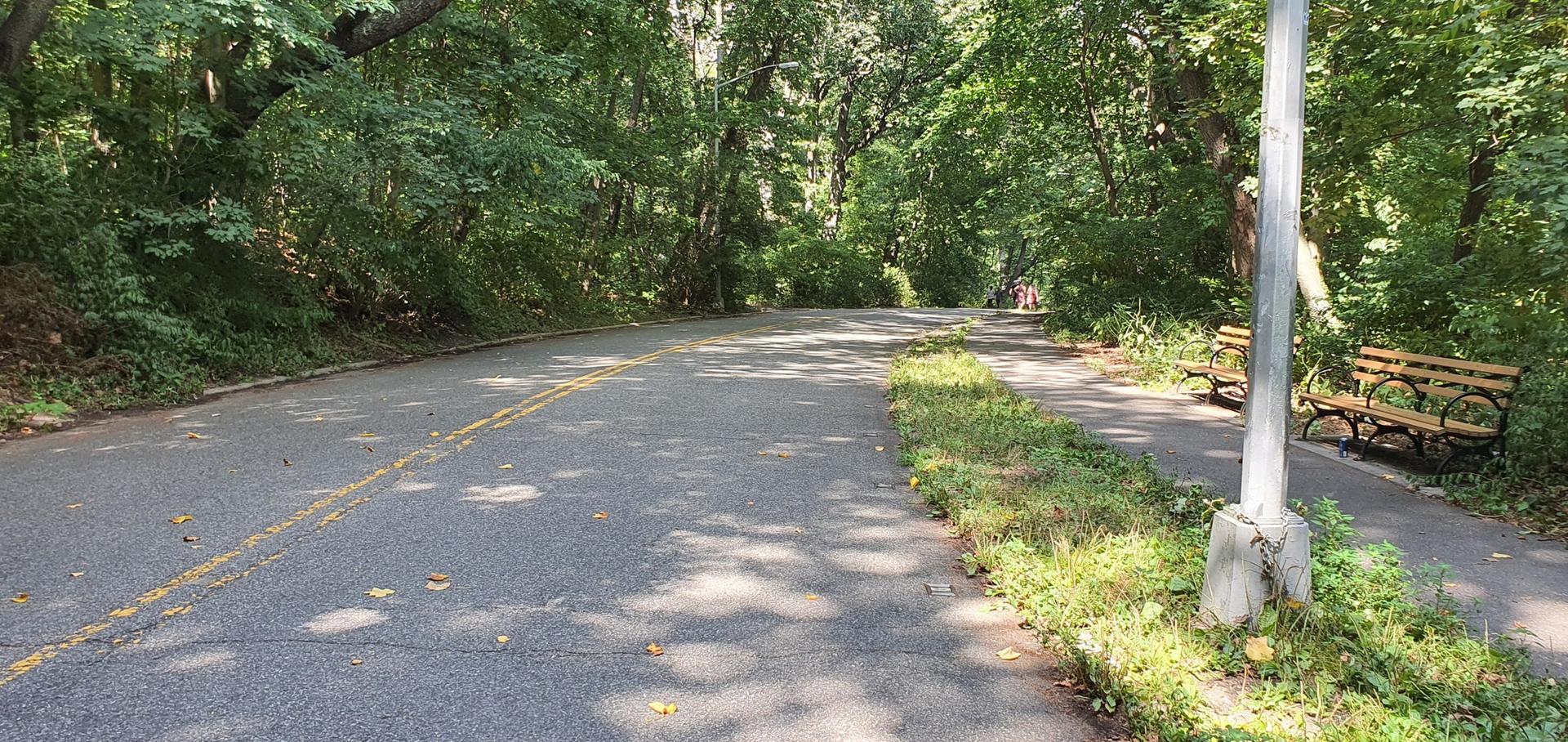 Paved road and path winding through a lush green forest.
