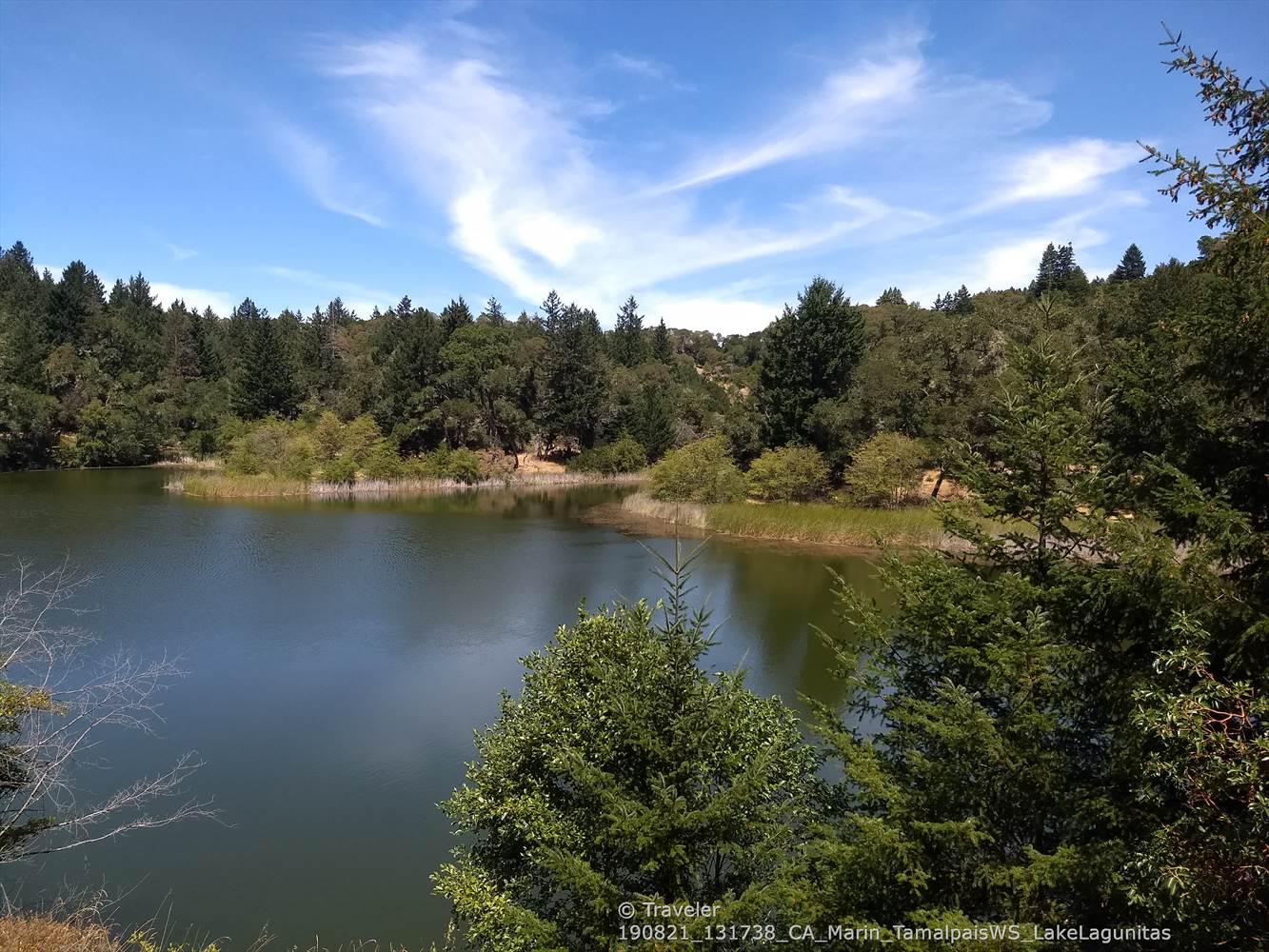 Serene lake surrounded by lush green forest under a bright blue sky.