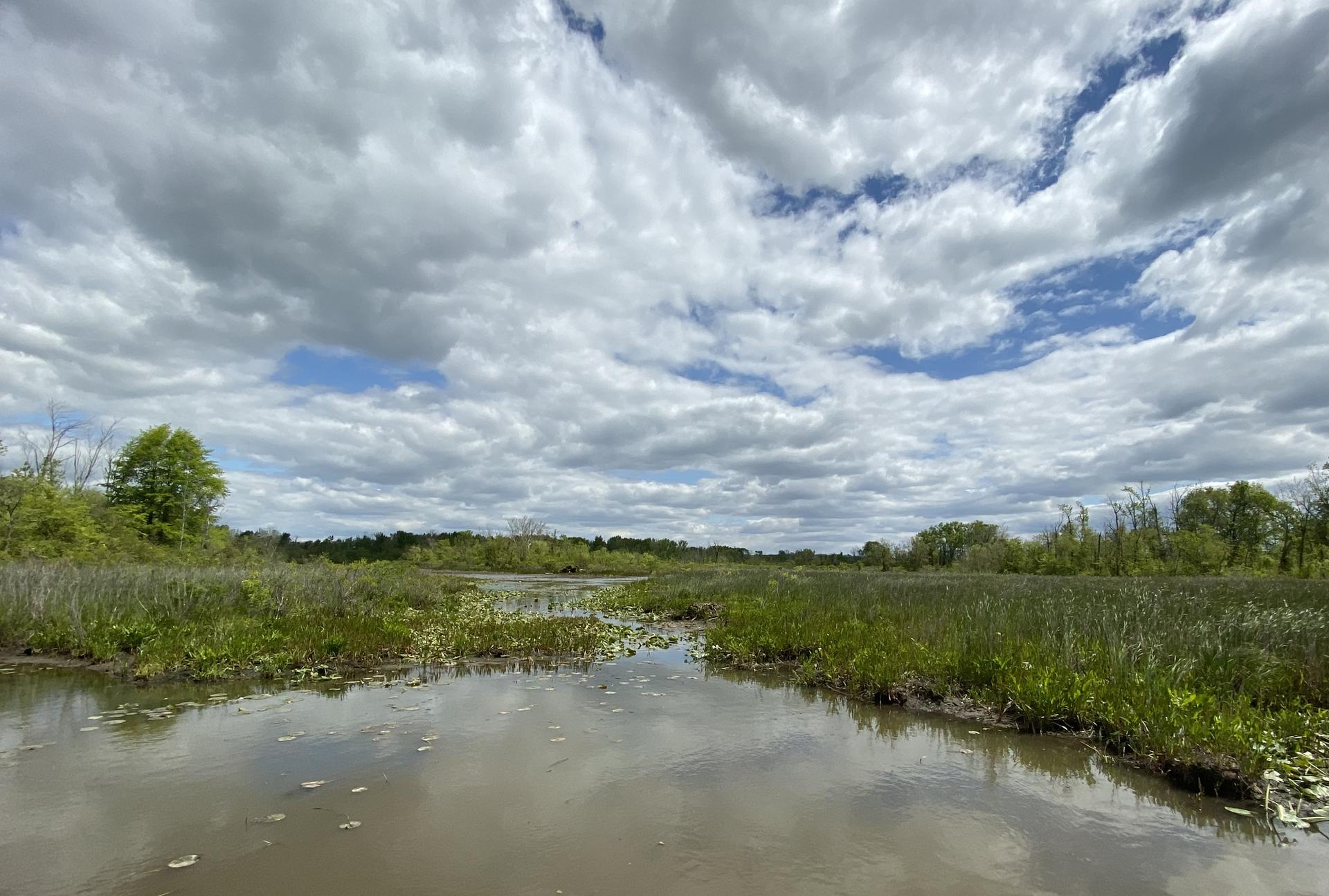 Overcast sky above a narrow waterway winding through a green marsh.