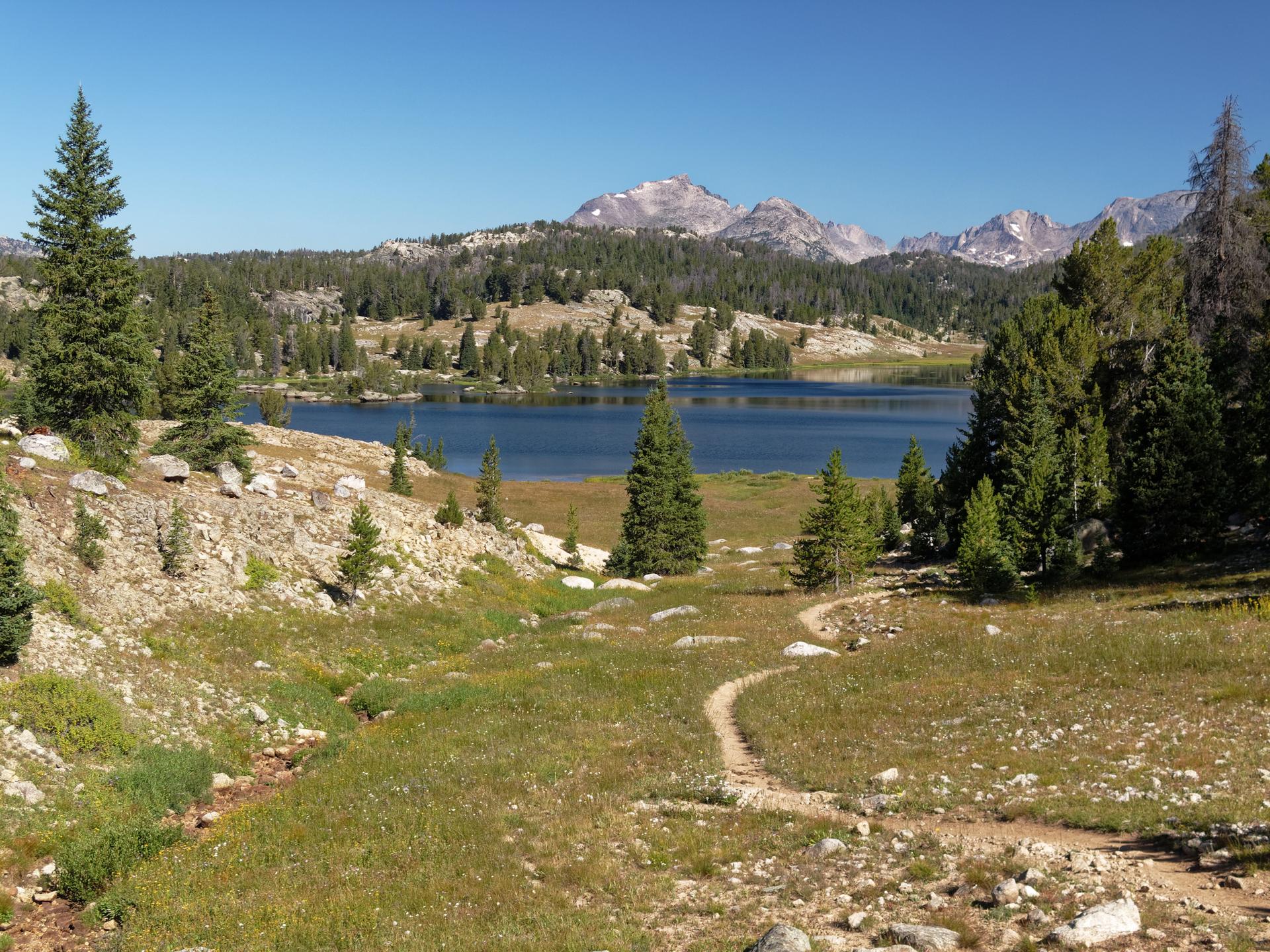 A winding trail descends towards a serene lake surrounded by trees and mountains.