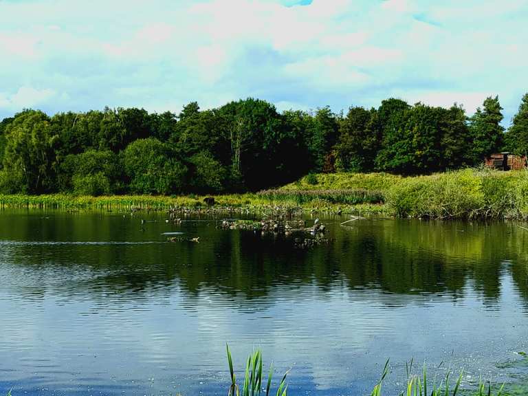 Marston Lake & Low Barns Nature Reserve loop hike Komoot