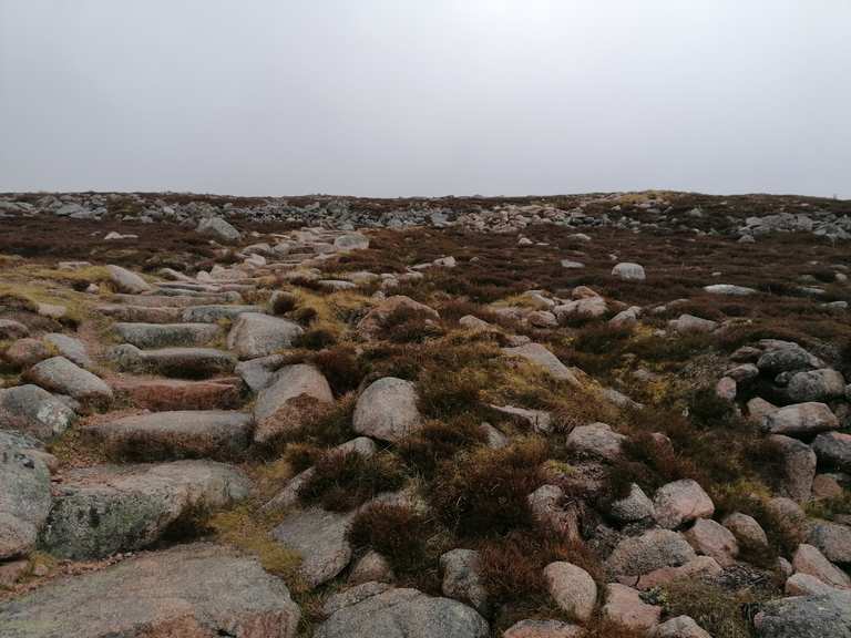 Windy Ridge Path – Hikes & How to Get There | Komoot