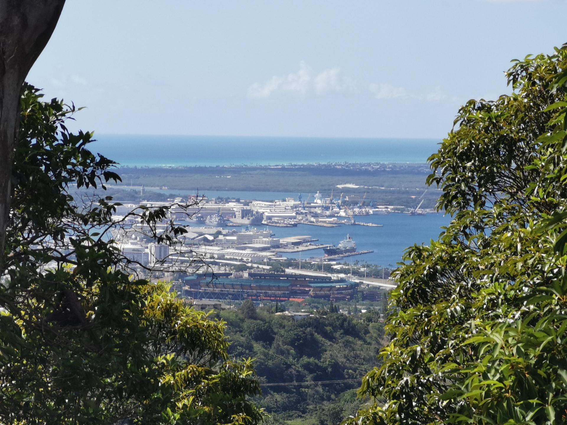 Distant view of a bustling harbor and city through green tree branches.