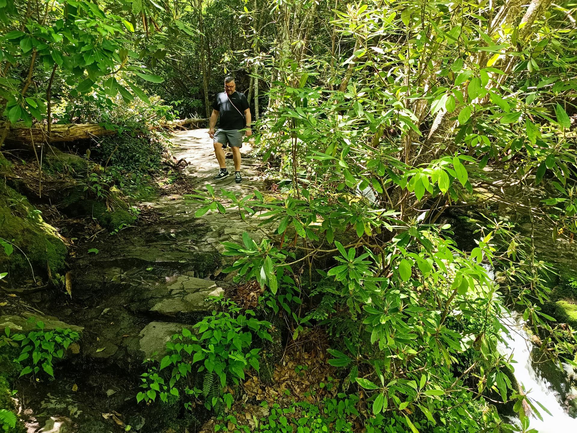 A man walks on a sunlit forest path beside a lush green stream.
