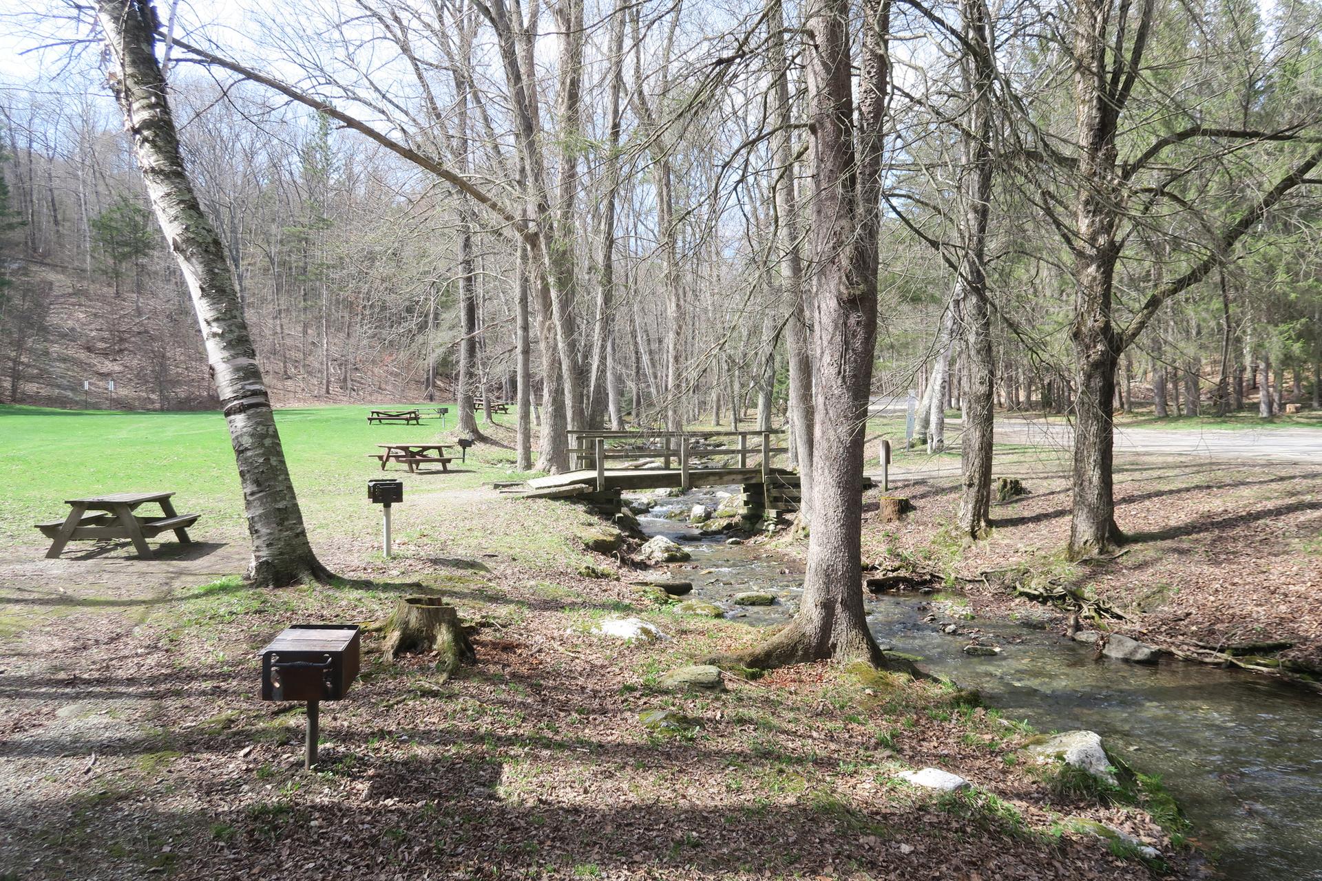 Picnic area with tables, stream, and wooden bridge under bright, natural light.