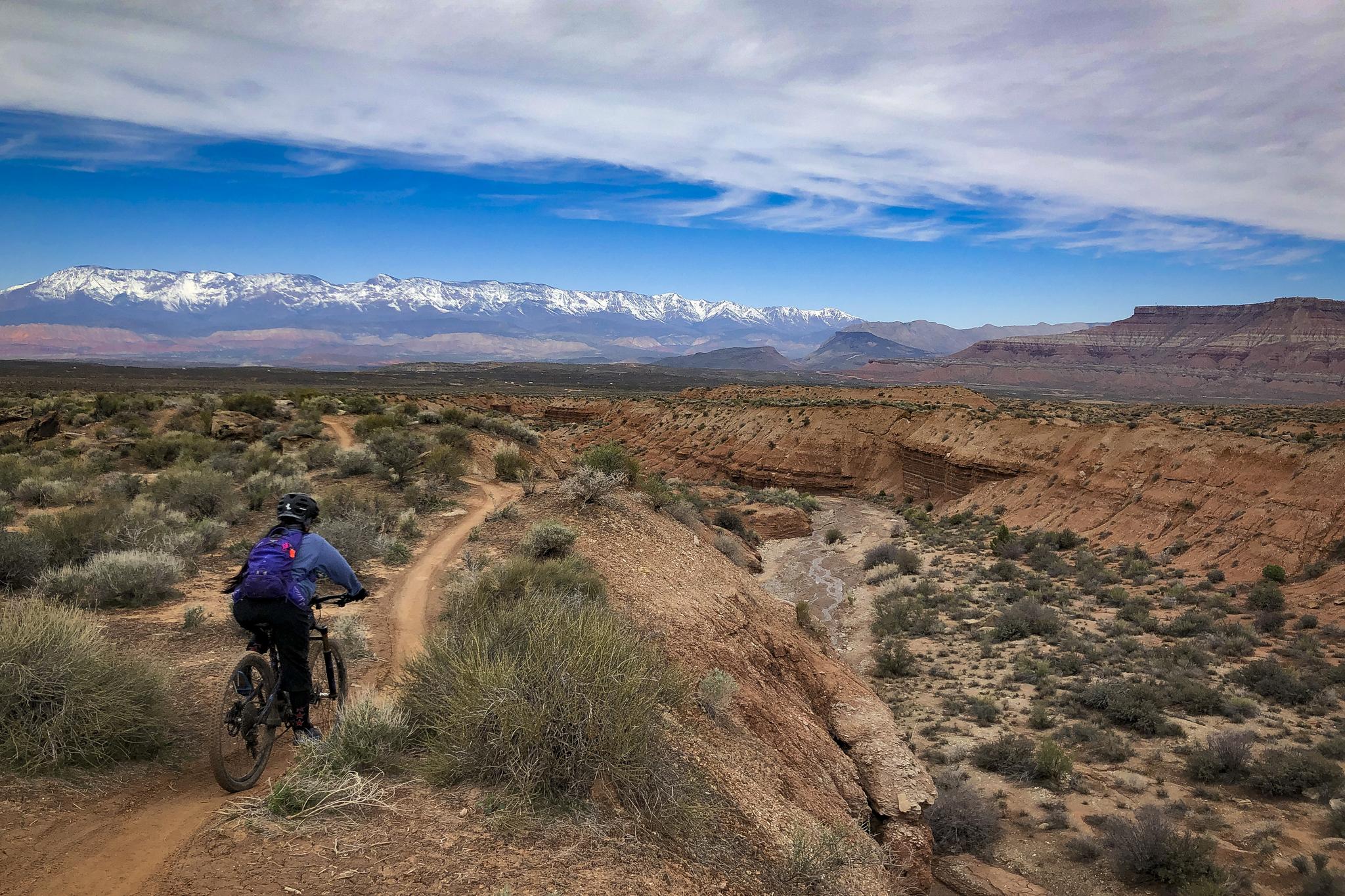 Mountain biker on a desert trail overlooking a canyon and mountains.