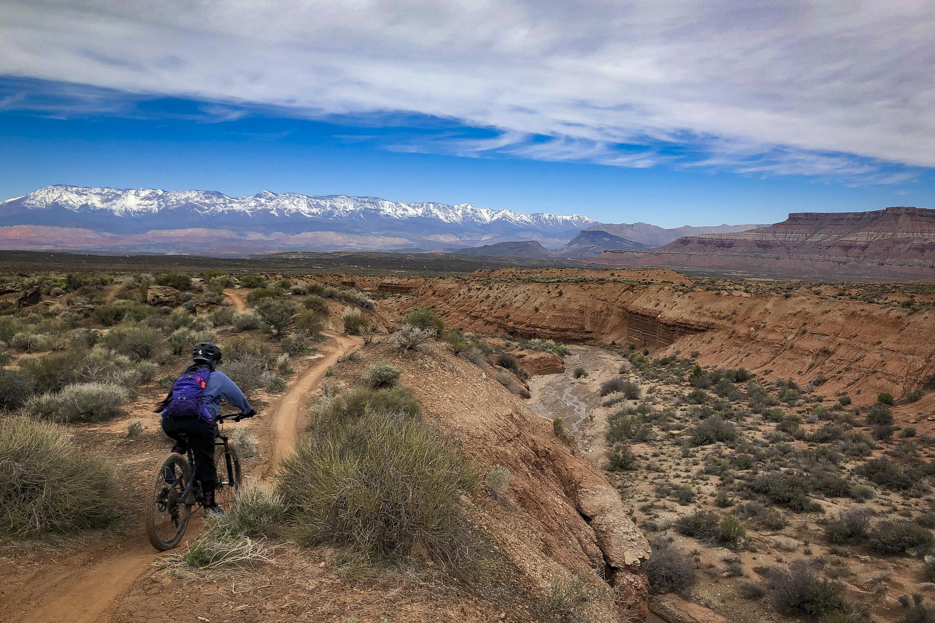 Mountain biker on a desert trail overlooking a canyon and mountains.