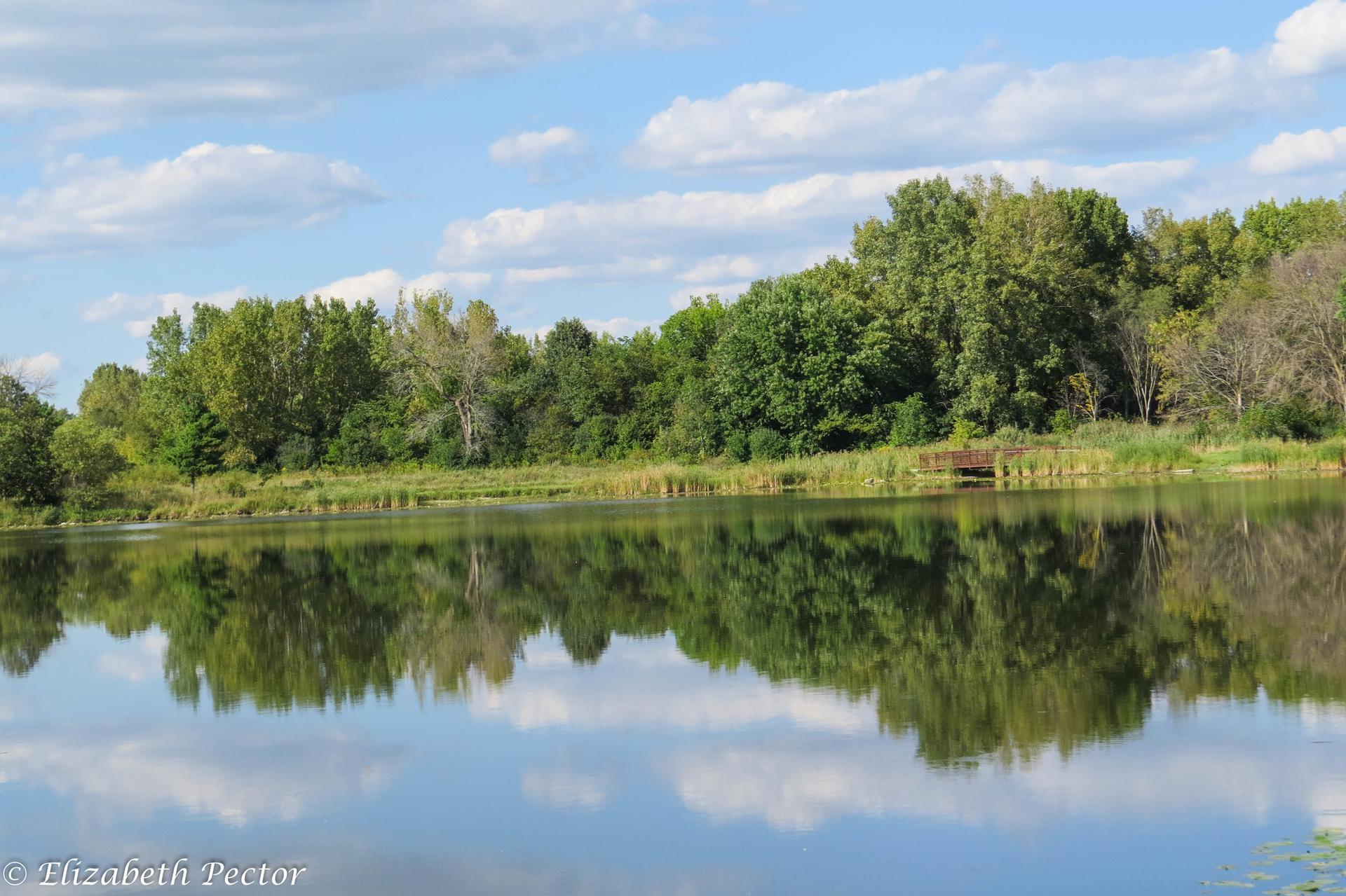 Calm lake reflecting green trees and cloudy blue sky on a bright day.