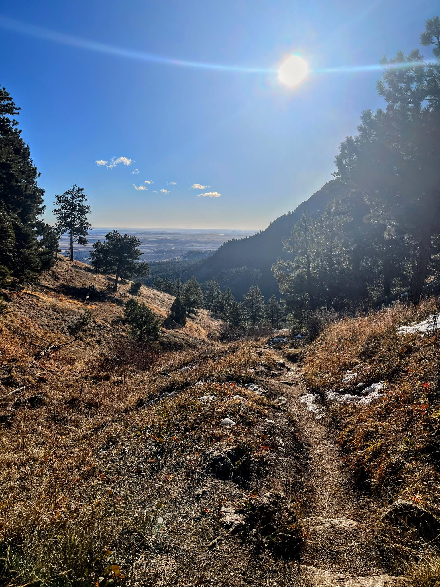 A sun-drenched dirt trail winds through dry hills with pine trees and distant valley.