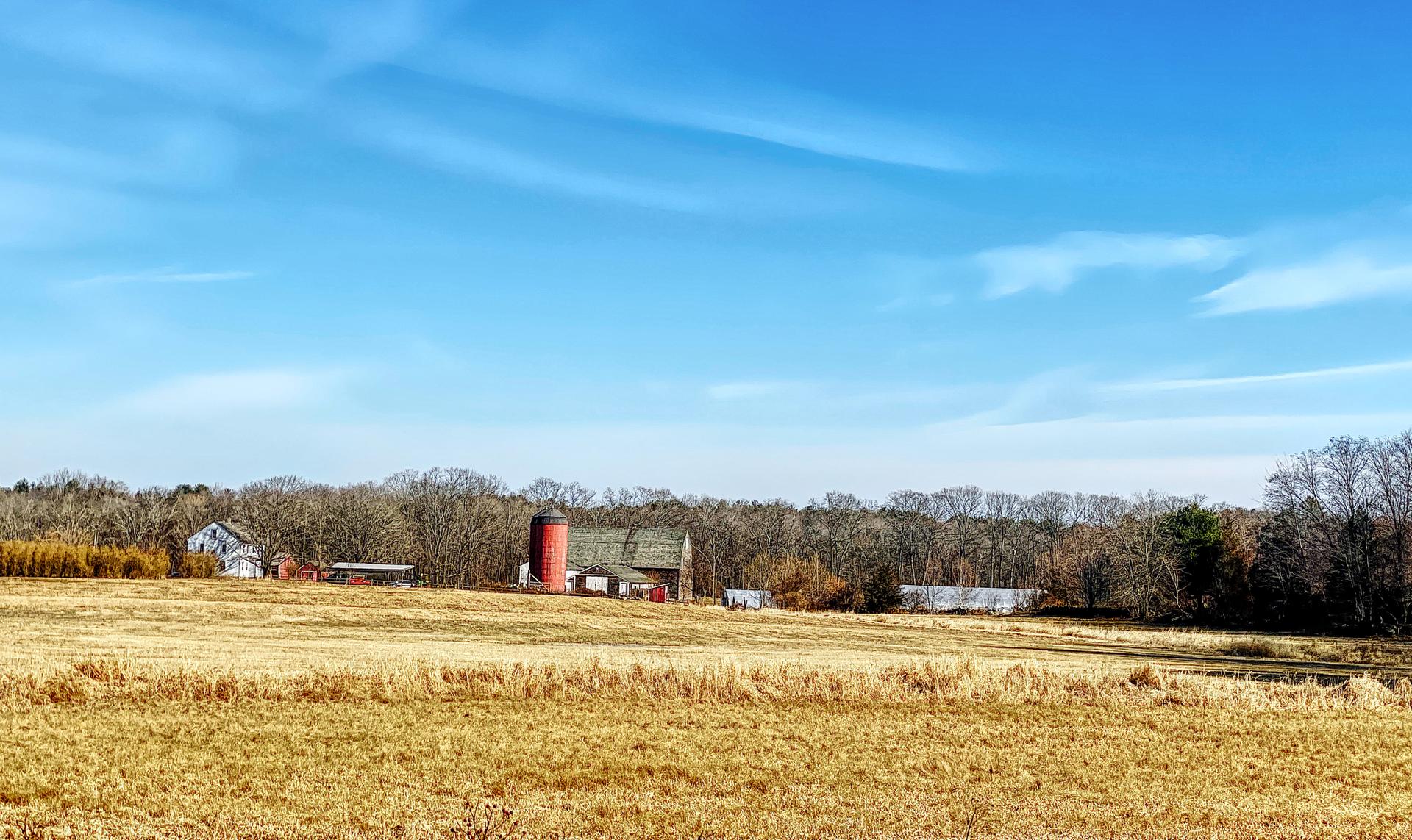 Sunny day over a golden field with a red barn and silo.