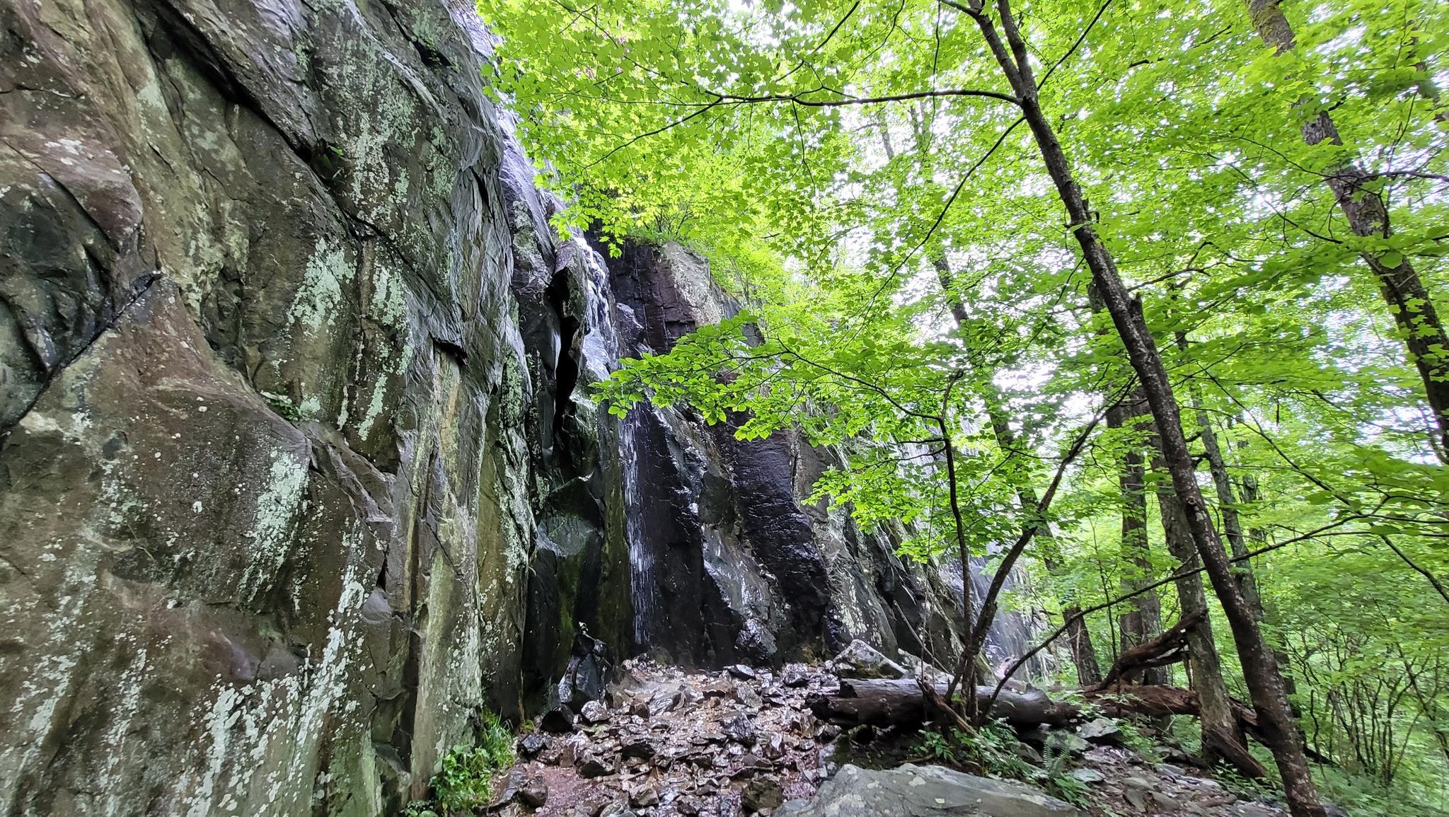 Towering rock face covered in moss, surrounded by green forest.
