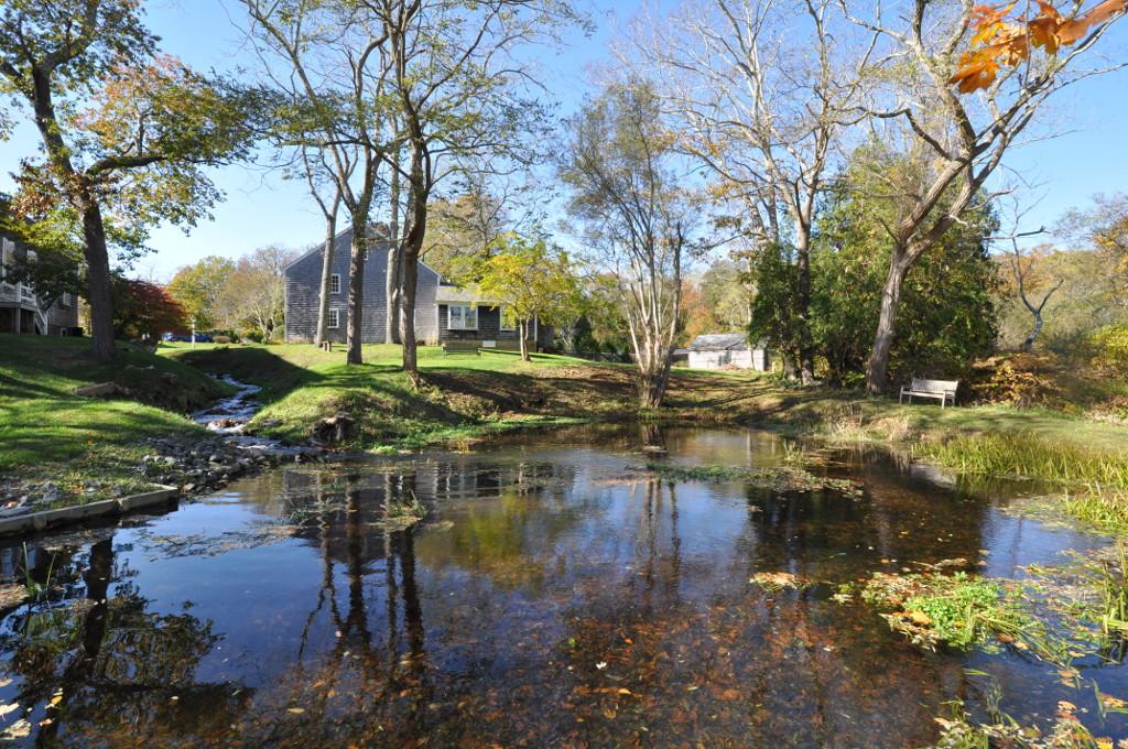 A tranquil pond reflects autumn trees and distant buildings on a sunny day.