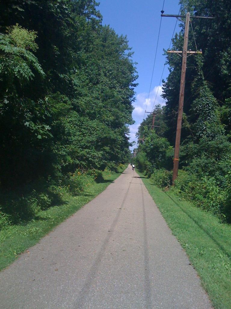 Paved path through lush green trees with a person in the distance.