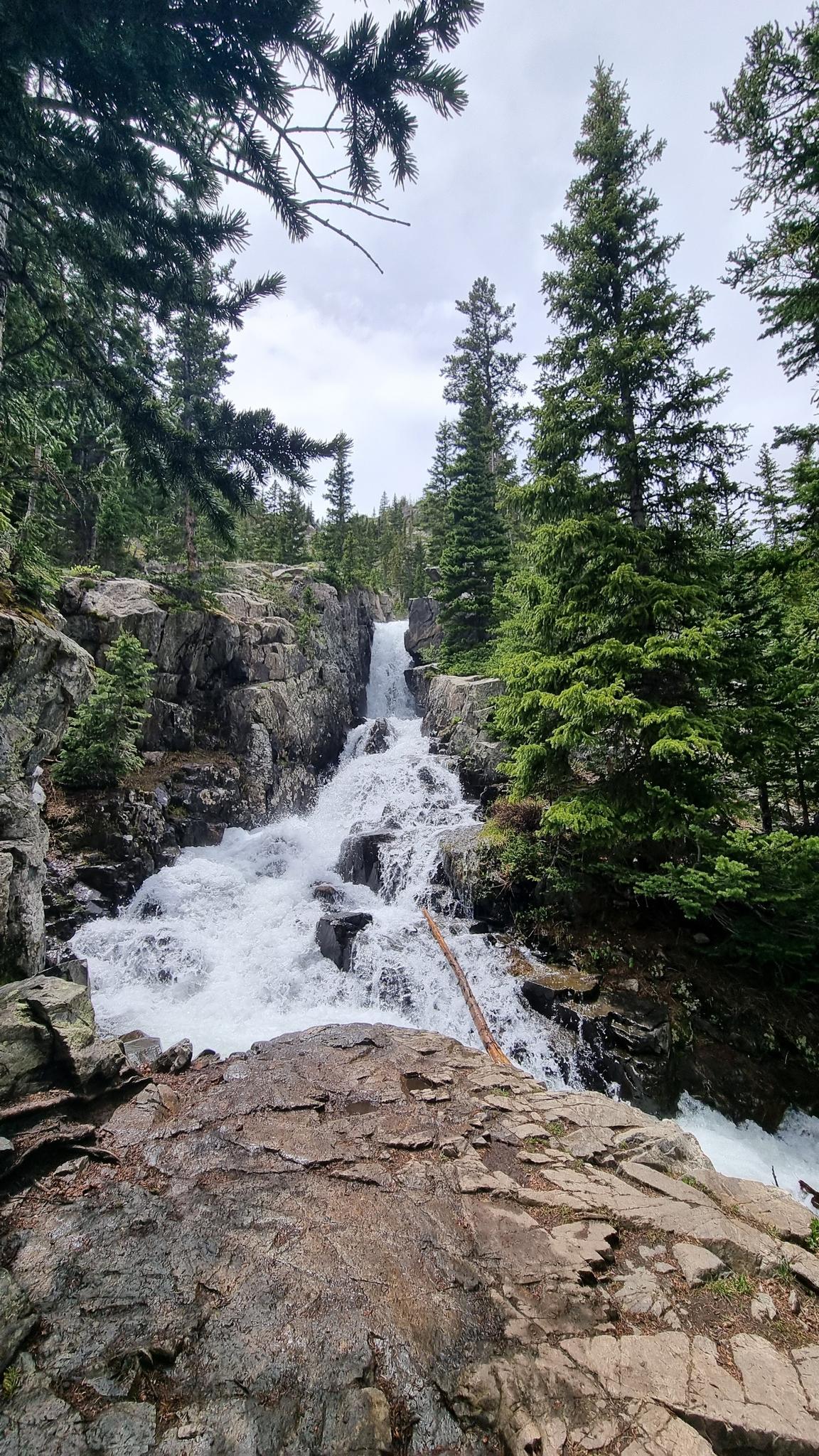A powerful waterfall cascades over rocks in a dense pine forest under cloudy skies.