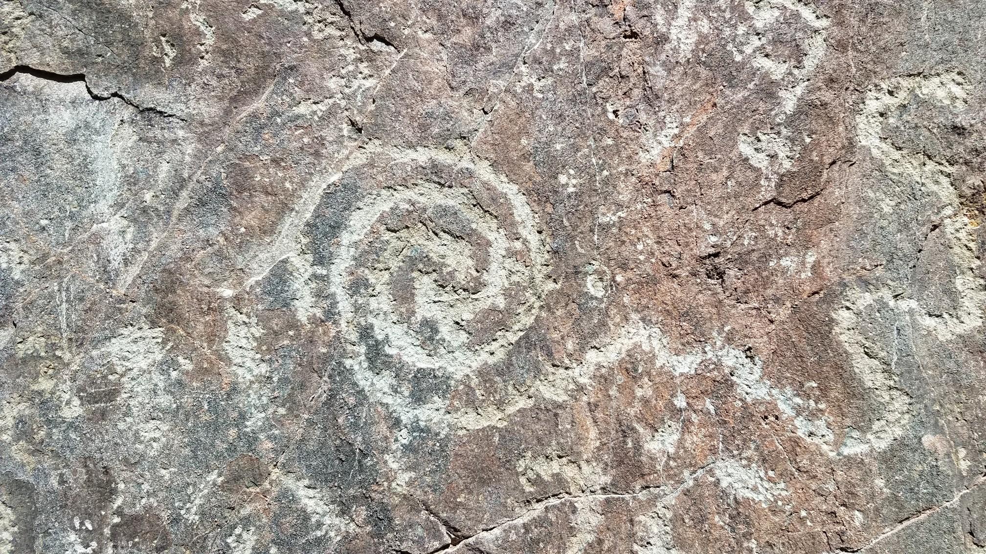 Close-up of a rock with an ancient spiral petroglyph in sunlight.