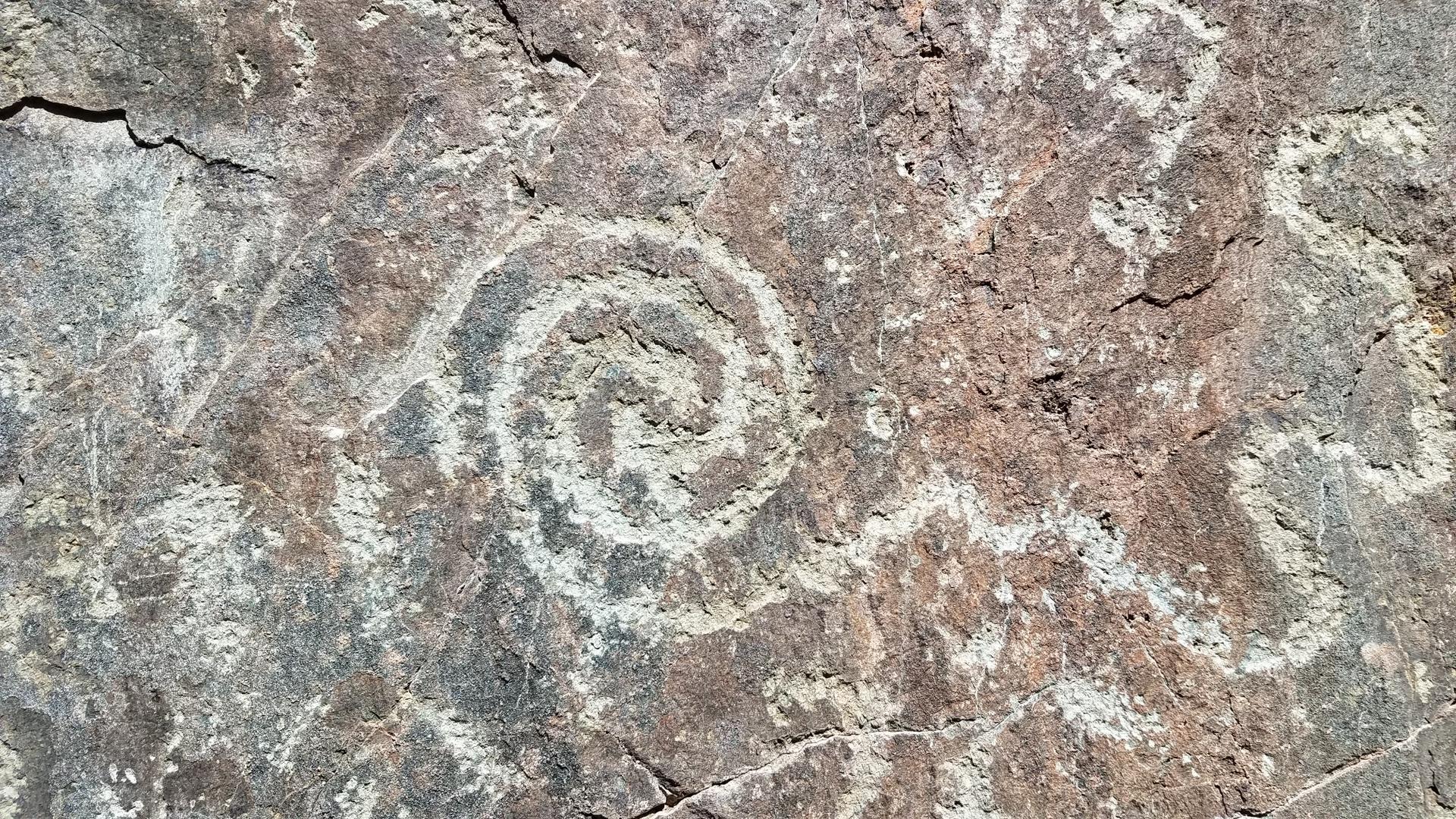 Close-up of a rock with an ancient spiral petroglyph in sunlight.