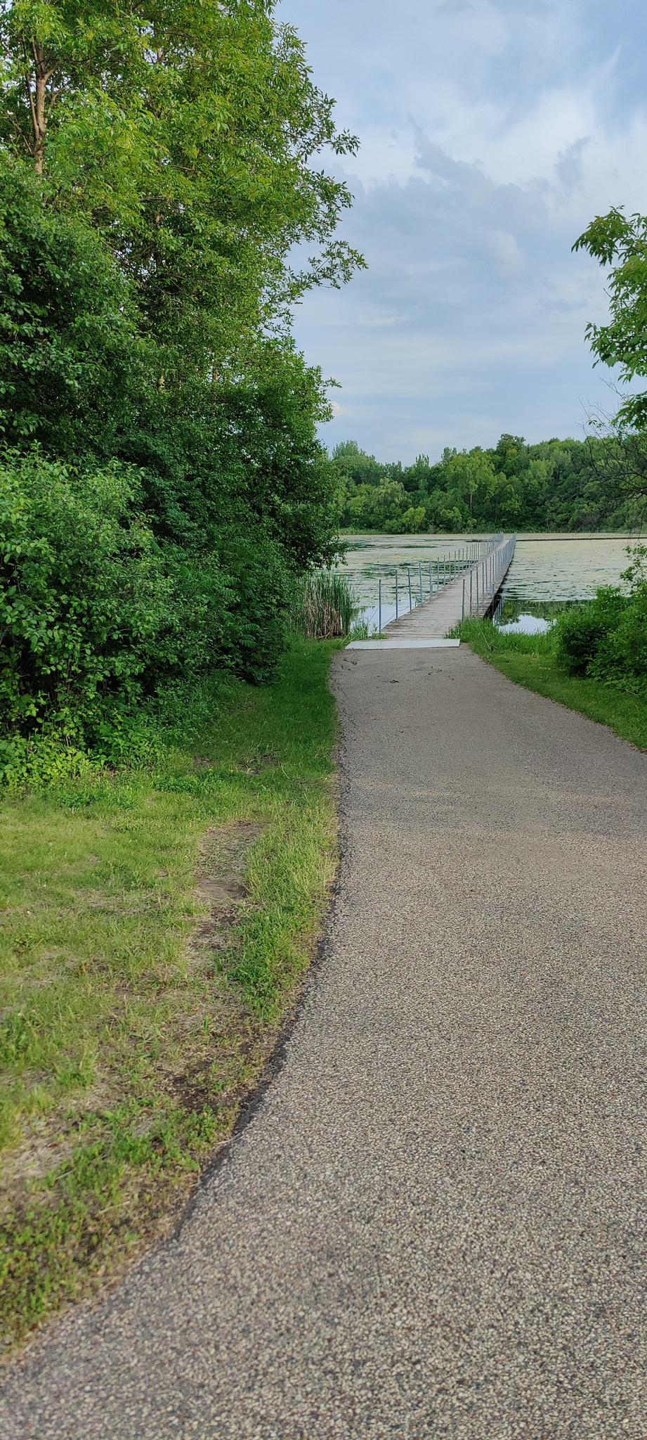 Paved path leading to a boardwalk over a marshy lake, surrounded by trees.