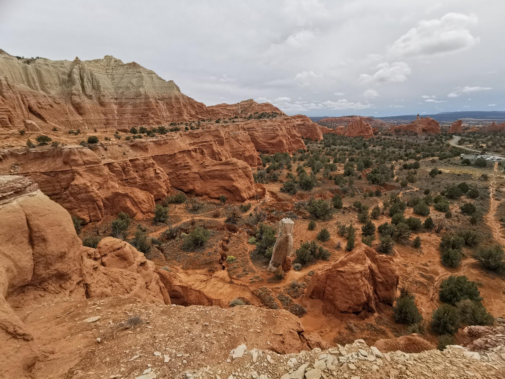 Expansive desert landscape with red rock formations and green shrubs under cloudy sky.