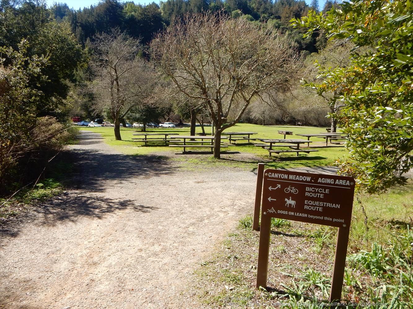 A dirt path leads to a sunny meadow with picnic tables and trees.