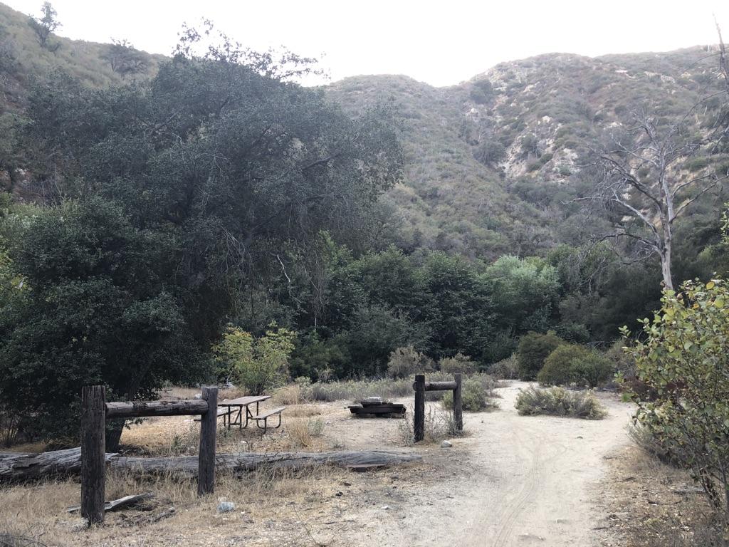 Overcast view of a dirt path leading to a rustic picnic area.