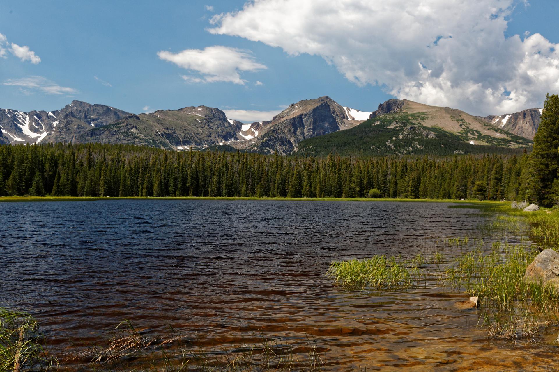 Calm lake reflecting blue sky, backed by dense forest and rugged mountains.