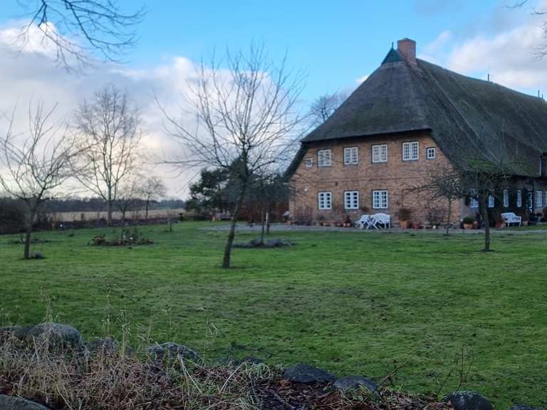 Gut Stendorf Routes for Walking and Hiking | Komoot