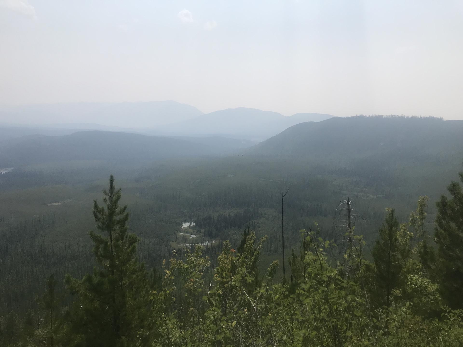 Hazy mountain landscape with dense forest and distant peaks under diffused light.