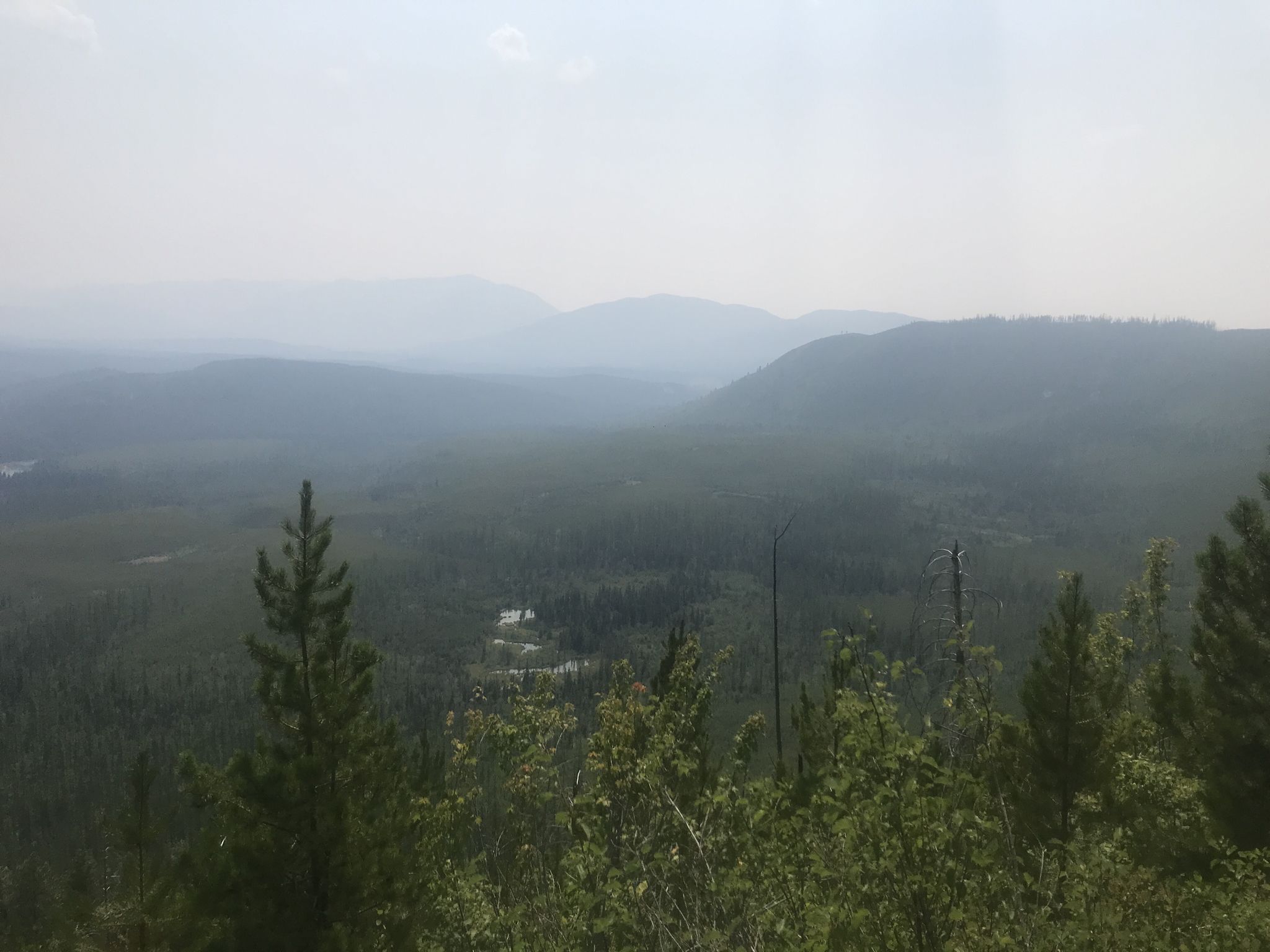 Hazy mountain landscape with dense forest and distant peaks under diffused light. - Apgar Lookout Trail
