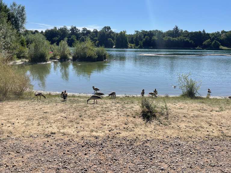 Opfinger Baggersee – Wander- & Radrouten | Komoot