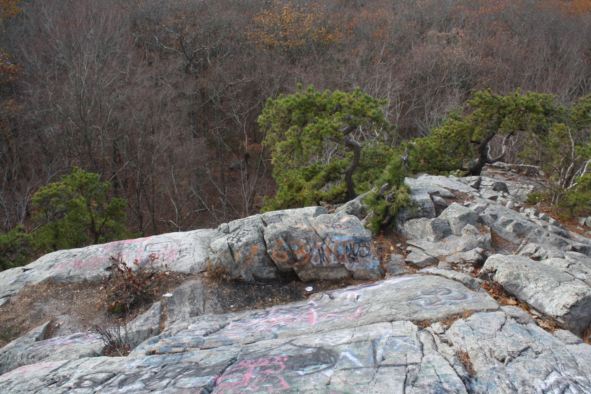 A rocky cliff edge with green trees overlooks a bare autumn forest.
