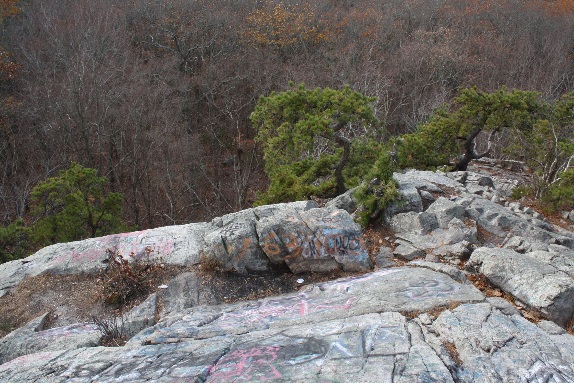 A rocky cliff edge with green trees overlooks a bare autumn forest.