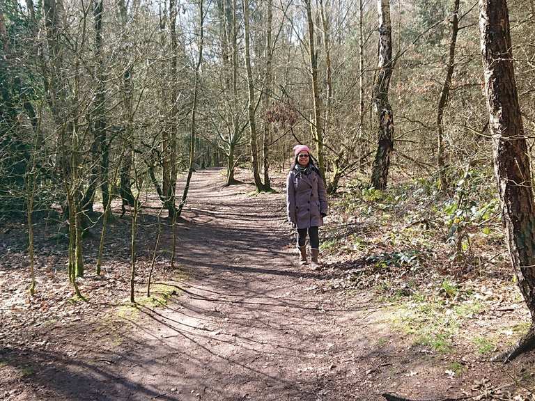 Blidworth Woods wandelroutes en hikes | Komoot