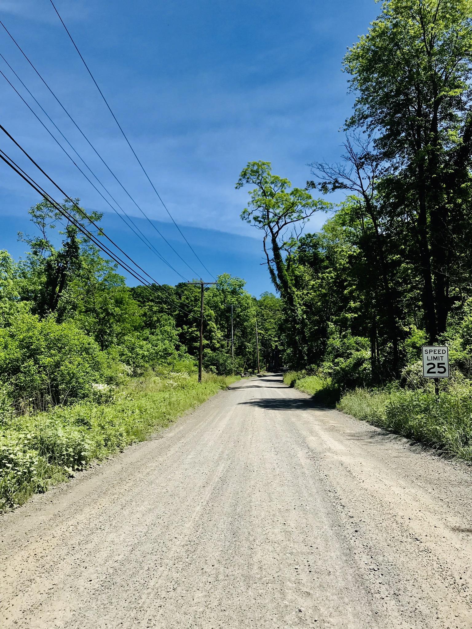 A sunlit dirt road lined with lush green trees under a clear blue sky.