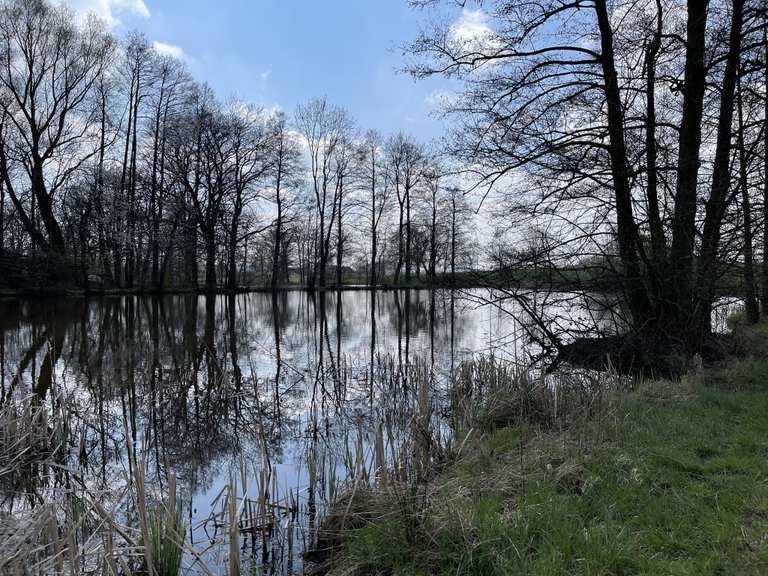 Schwarzer Teich Am Pferdekopf Runde von Großebersdorf Wanderung