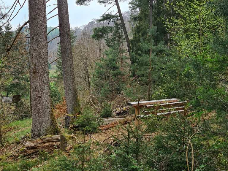 Rastbank mit schönem Blick Wanderungen und Rundwege komoot