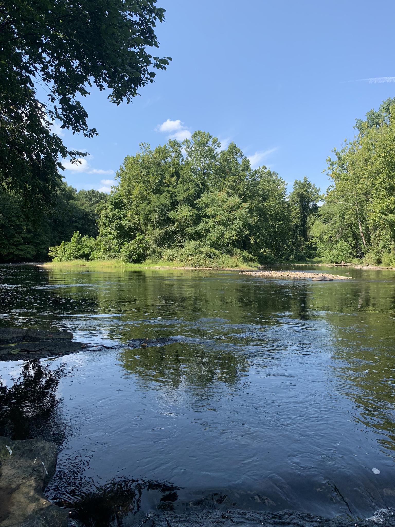 Clear river with small rapids and a wooded island under a blue sky.