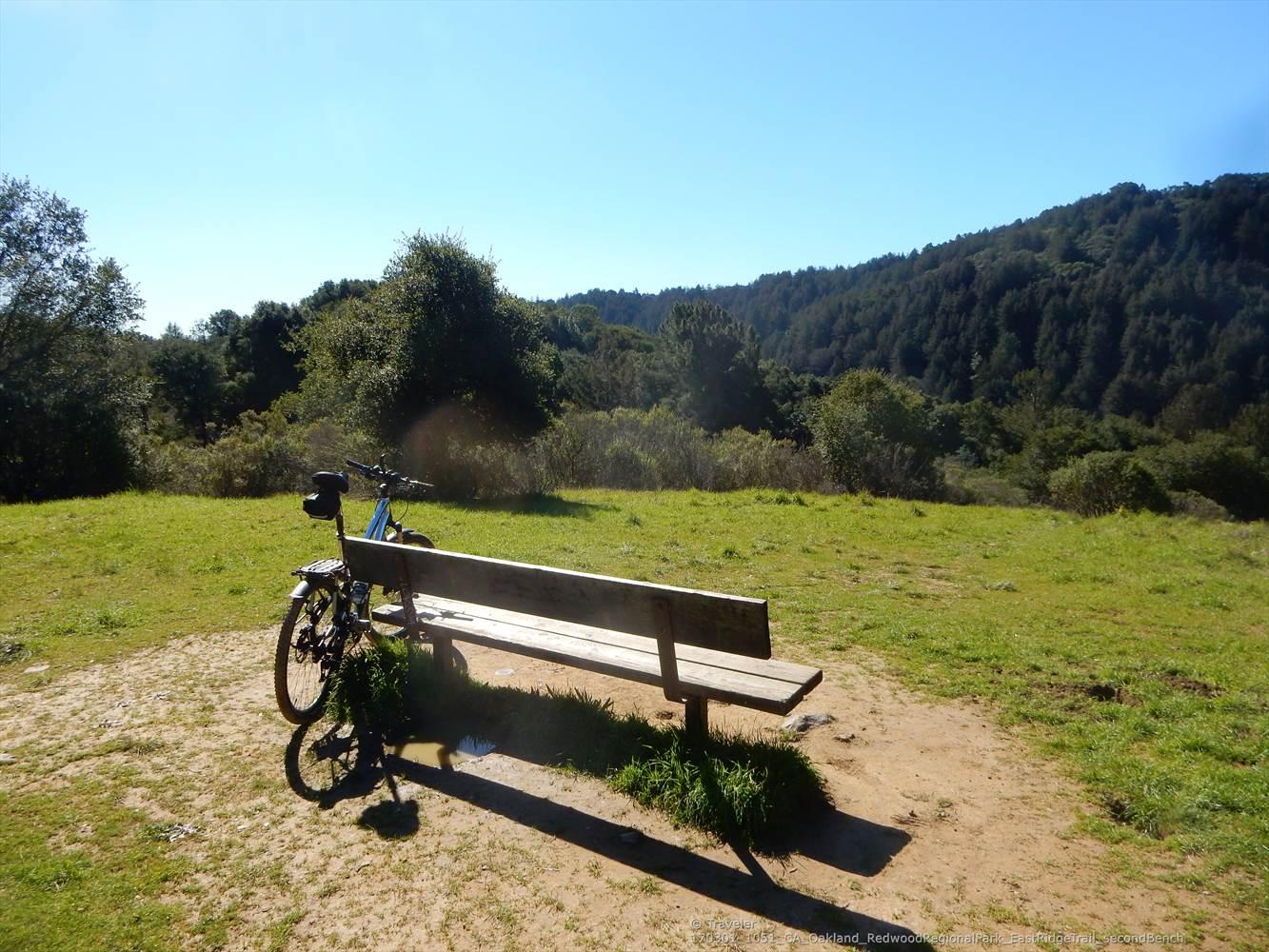 A bicycle rests beside a wooden bench in a sunny, grassy clearing.