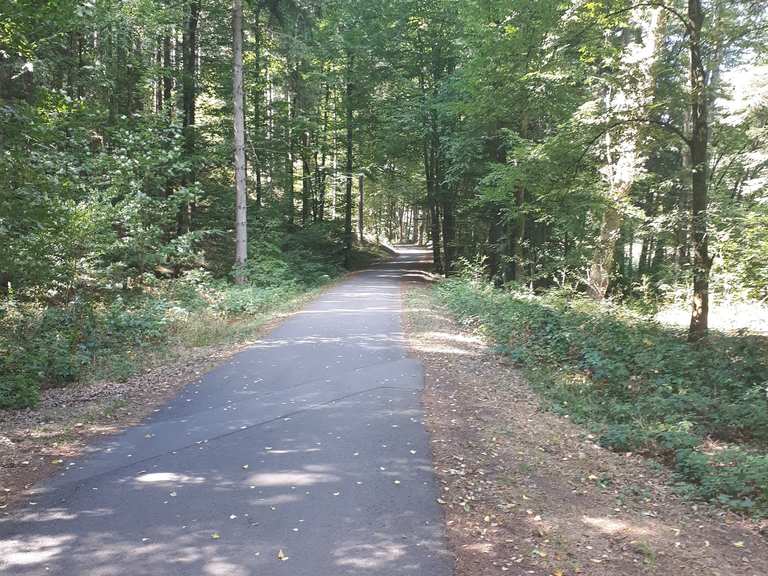 fahrrad bad bergzabern