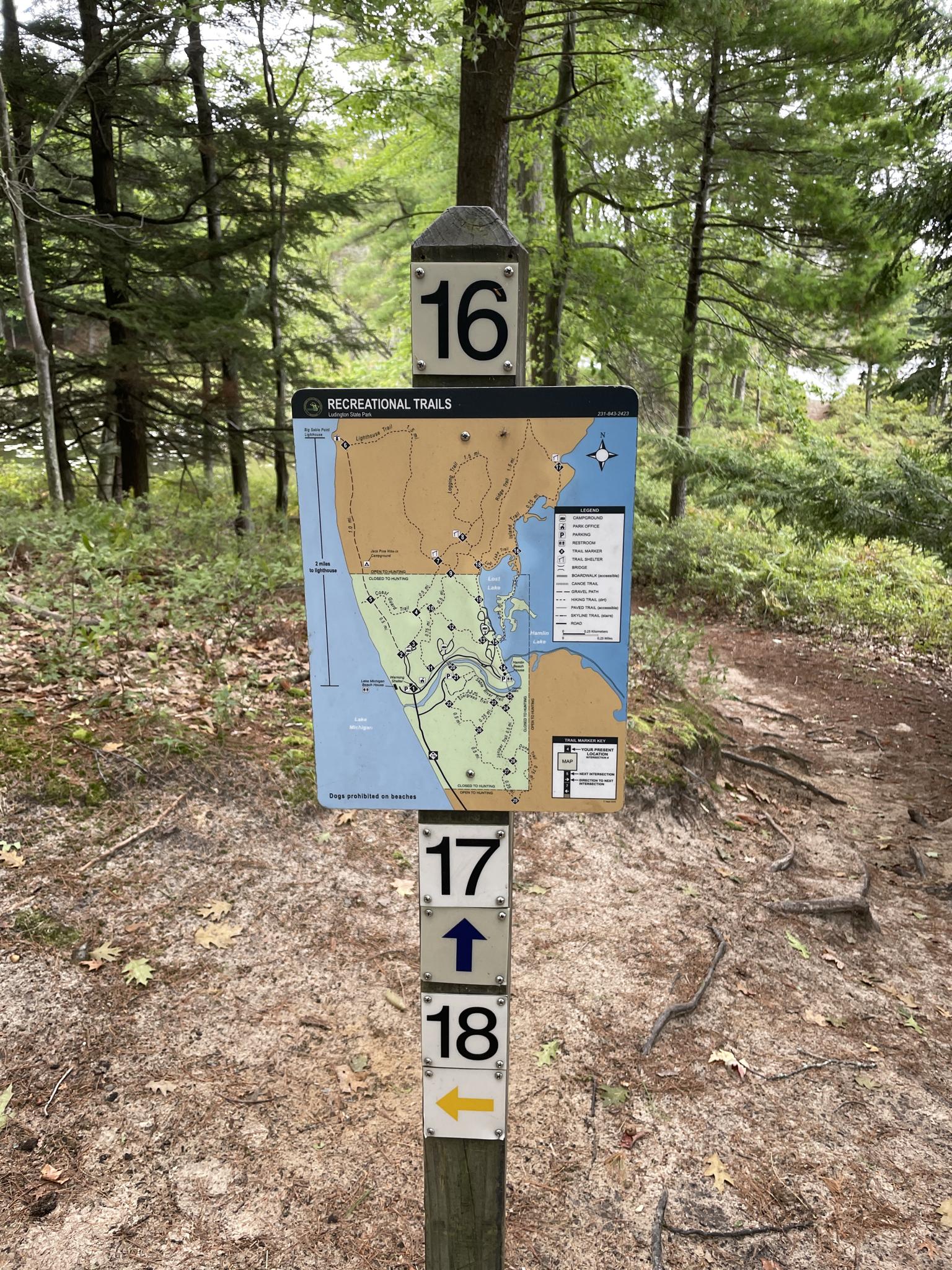 A trail map and directional signs on a post in a green forest.