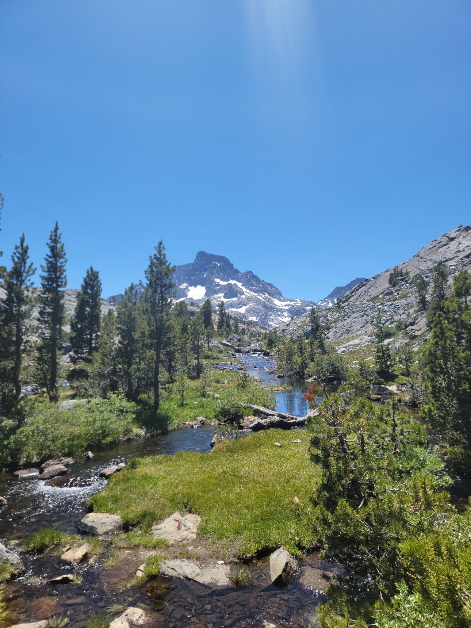 Sunny alpine meadow with stream, pine trees, and snow-capped mountain.
