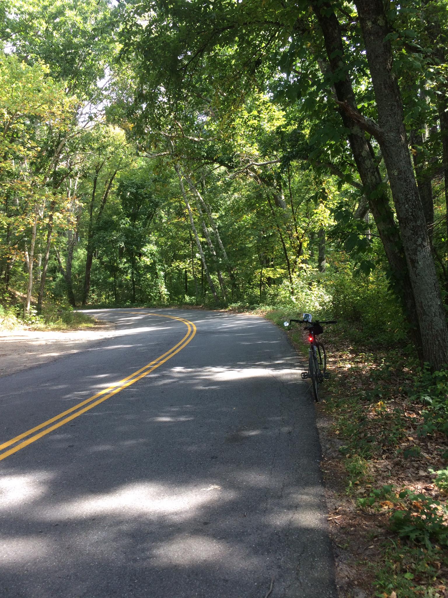 A bicycle parked beside a curving, tree-lined road on a sunny day.