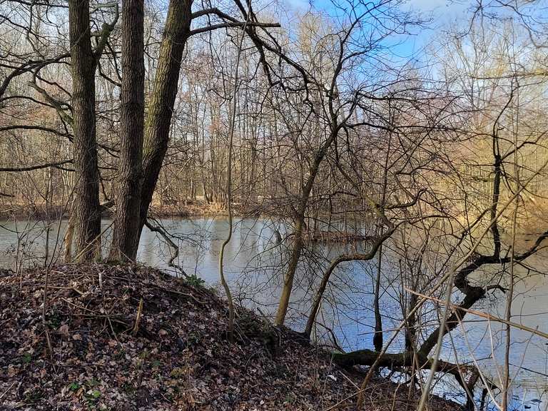 Abtnaundorfer Park Teich an den MiMo Runde von LeipzigGohlis