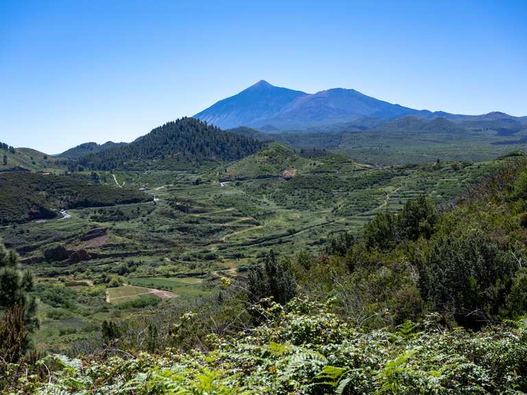 Blick zum Montaña de Taco Routes for Walking and Hiking Komoot