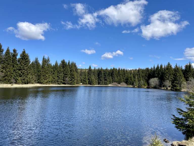 Wüster Teich Wanderungen und Rundwege komoot