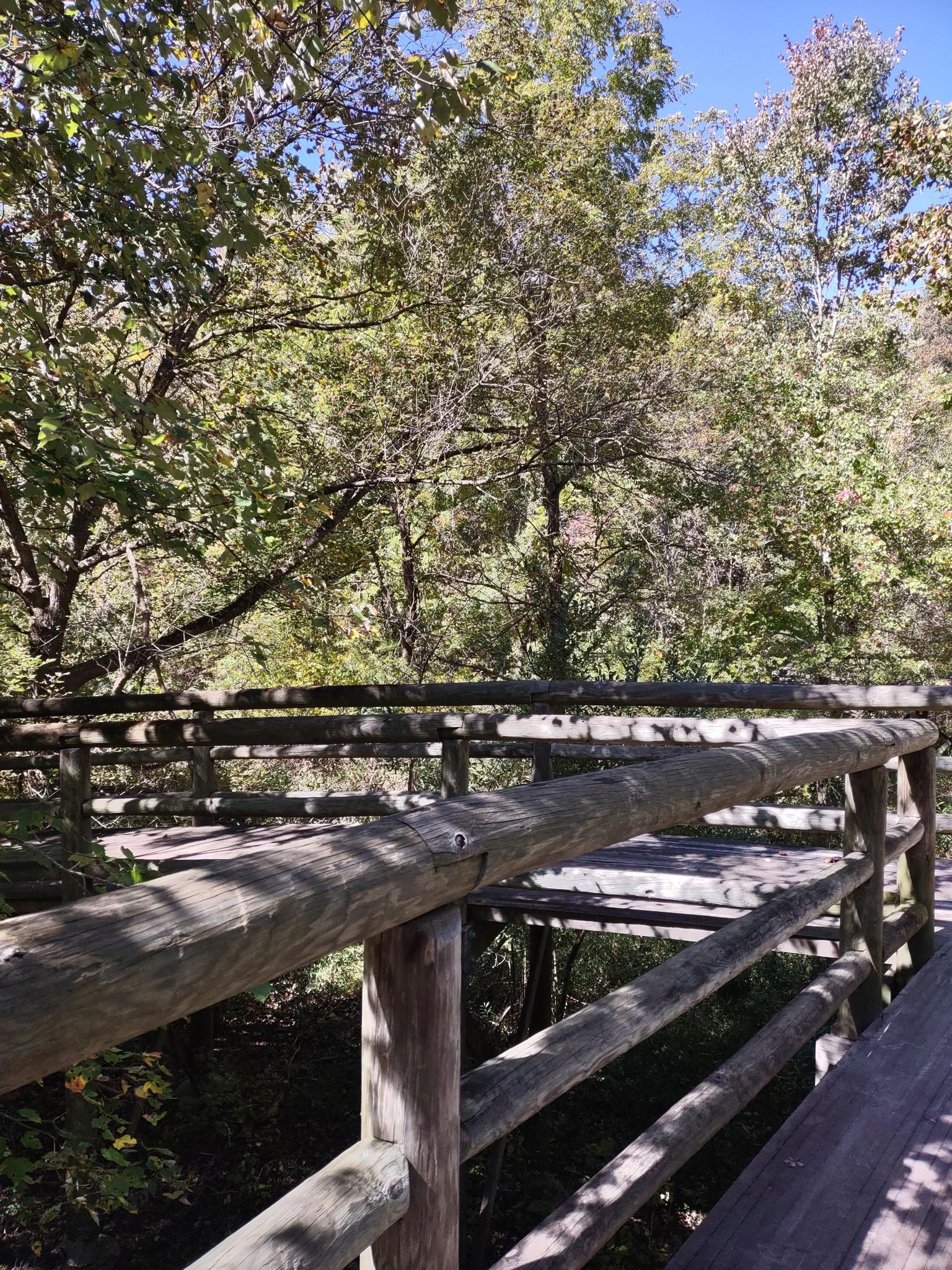 Close-up of a rustic wooden bridge railing in a green forest. Sunny.